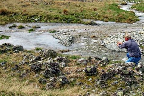 Tips For Trout Fishing In Small Streams The Fishing Website