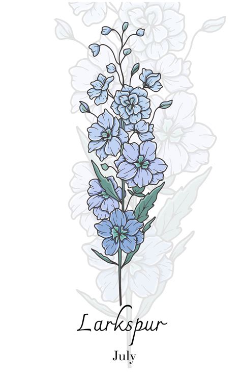 Larkspur Line Art Larkspur Flower Illustration July Birth Month