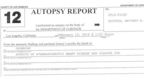 Read Whitney Houston's Full Autopsy Report HERE - TheCount.com