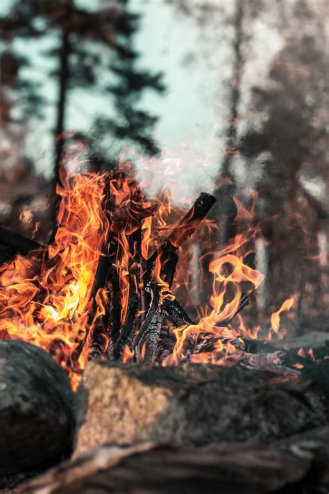 Burning Wood on Fire Pit · Free Stock Photo