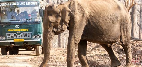 Kabini Wildlife Sanctuary- Kabini National Park