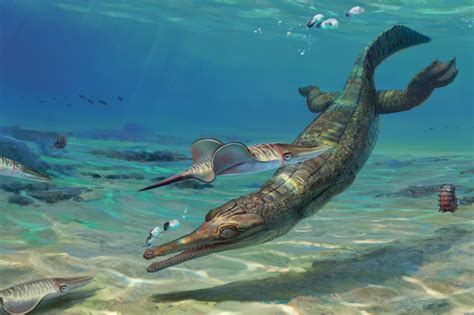 New Ancient Marine Crocodile Discovered On Uks Jurassic Coast And