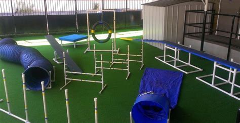 Canine Sports How To Build A Backyard Agility Course Agility Training