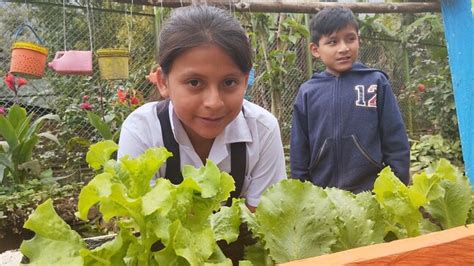 Piura Usuarios De Qali Warma En Canchaque Promueven Alimentaci N