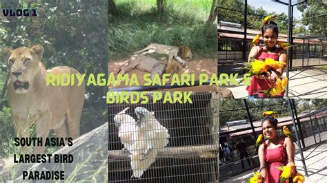 Ridiyagama Safari Park And South Asias Largest Bird Paradise In Sri