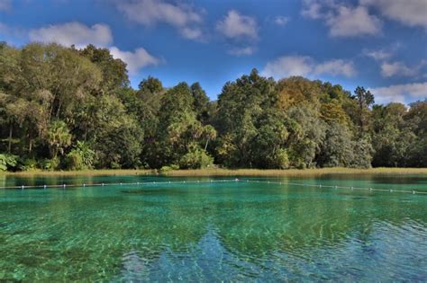 Rainbow Springs State Park Discover Breathtaking Crystal Clear Waters 10 Traveling Feet