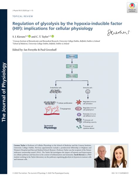 Pdf Regulation Of Glycolysis By The Hypoxia Inducible Factor Hif Implications For Cellular