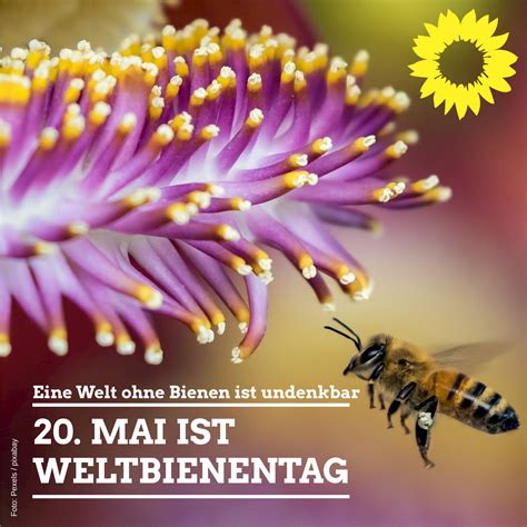 Weltbienentag Kreisverband Salzgitter