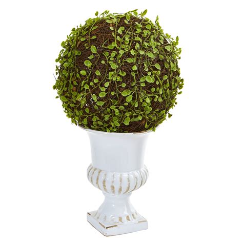 Nearly Natural 18 In Mohlenbechia Ball Topiary In White Urn