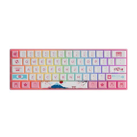 Buy Akko World Tour Tokyo 3061S 60% Pink Wired Mechanical Gaming ...