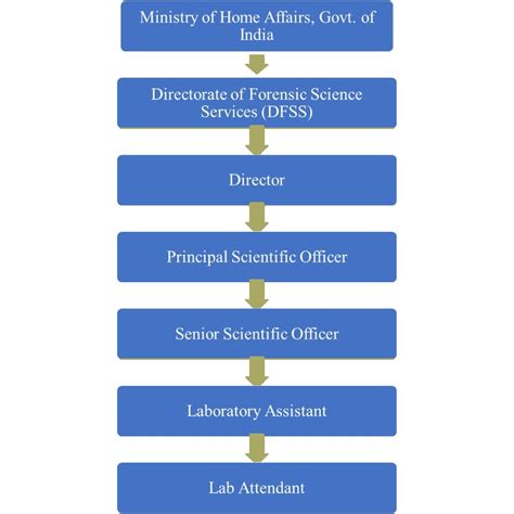 Hierarchy National Museum Of Forensic Science