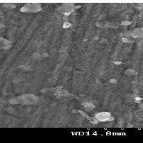 SEM Images Obtained For The Mild Steel Surfaces Immersed For 2 H In 1M