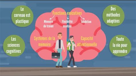 17 Les Sciences Cognitives De Lapprentissage Numérique Éducatif