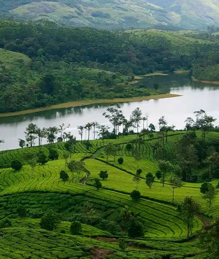 4 Days Kerala Tour Package Athirappilly Munnar