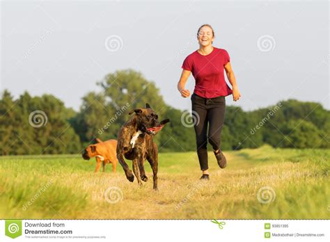 Adolescente Que Juega Con Los Perros Del Boxeador Imagen De Archivo