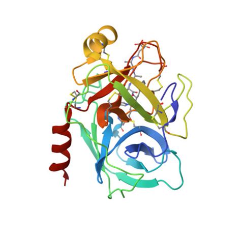 RCSB PDB 2QXI High Resolution Structure Of Human Kallikrein 7 In