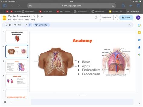 Cardiovascular Flashcards Quizlet