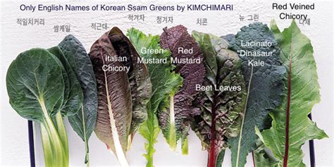 How To Enjoy Ssam Korean Lettuce Wraps With Different Greens Kimchimari