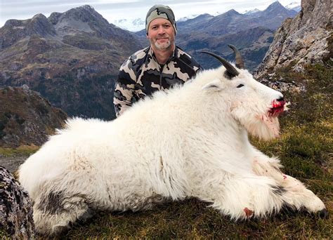 Mountain Goat Hunts in a great Alaska Mountain Goat Hunt Trophy Area