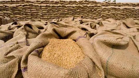 Sindh Cabinet Fixes Wheat Support Price At Rs4 000 Per 40kg Pakistan