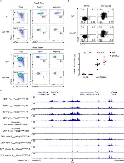 Lrrc K Is Not Required For Induction Of Garp On The Surface Of