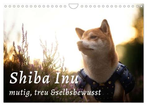 Tamashinu Photography By Alexandra Schultz Shiba Inu Mutig Treu