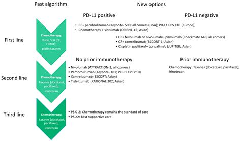 JPM | Free Full-Text | Immunotherapy for Squamous Esophageal Cancer: A ...