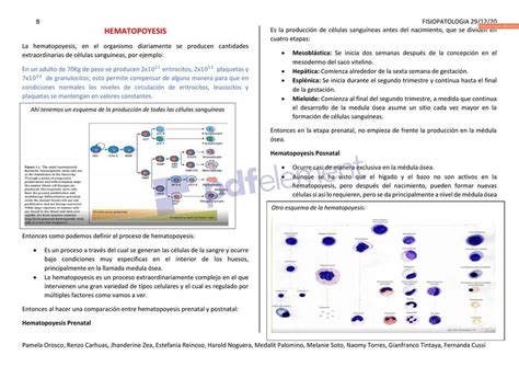 Apuntes De Fisiopatolog A Parte Iii Jayro Vargas Medina Udocz