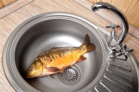 Premium Photo Fresh Fish In A Kitchen Sink