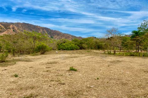 Vistas De Flamingo Lot 25 Large Forested Plot Of Land Minutes From