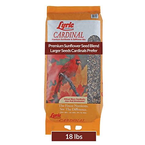 Best Cardinal Bird Seed Mix, According To Bird Watchers