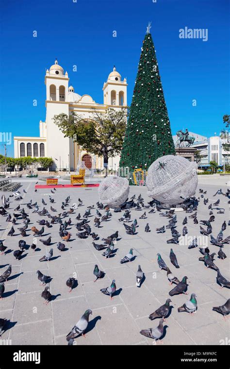 San Salvador Cathedral And Christmas Decoration San Salvador El