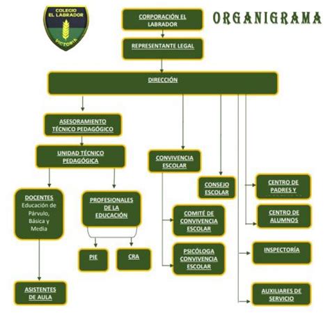 Organigrama De Un Colegio