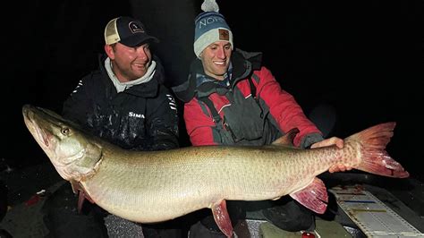 Minnesota Dnr Certifies 55 Pound Muskie Caught On Mille Lacs Lake As