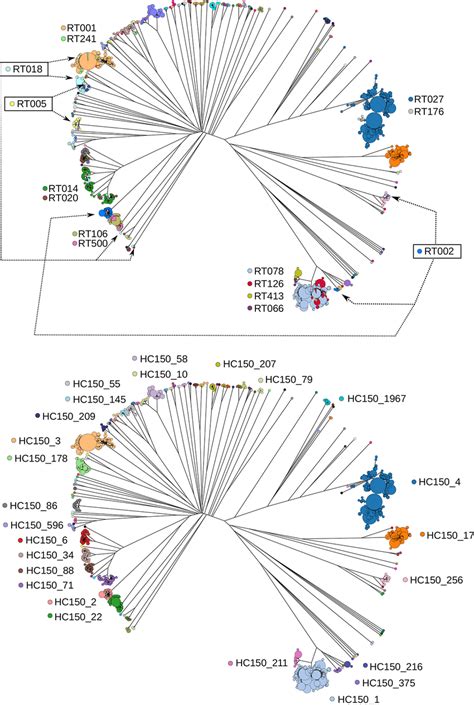 Rapid Neighbour Joining Phylogenetic Tree Based On Cgmlst Variation