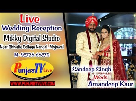 Live Wedding Reception Ii Sandeep Amandeep Iimikky Studio Mojowal