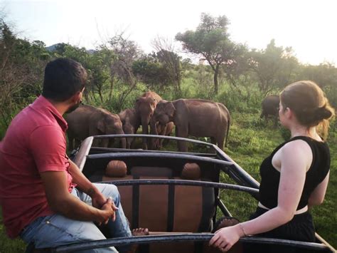 Vanuit Colombo Udawalawe Nationaal Park Safari Met Lunch Getyourguide