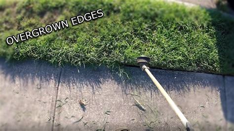 Satisfying Lawn Mowing Overgrown Edges Landscape Business Youtube