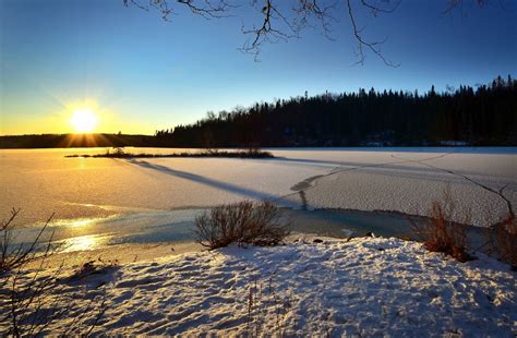 Fotos Gratis Rbol Naturaleza Nieve Fr O Amanecer Puesta De Sol