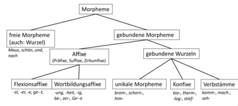 Sprachwissenschaften Morphologie Karteikarten Quizlet