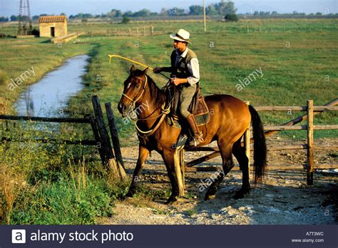 Italy Tuscany Maremme Regional Park A Buttero Italian Cowboy Stock