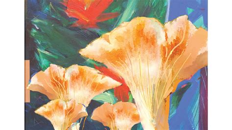 Tallahassee Writer Hal Shows Releases Poetry Book Chanterelles