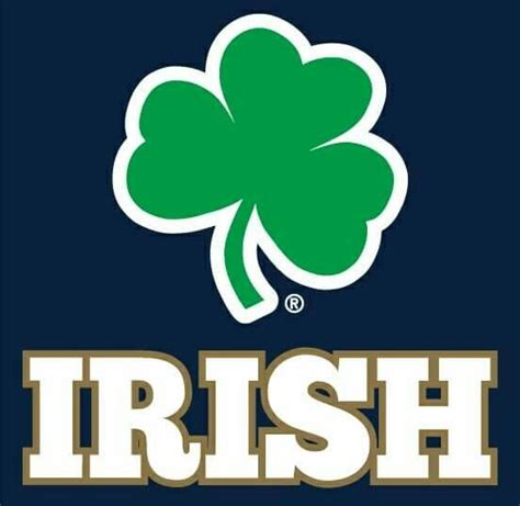 Pin By Sundayrain On Super Random Pix Fighting Irish Football Notre Dame Fighting Irish