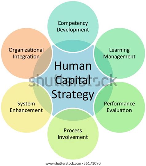 Human Capital Business Diagram Management Strategy Stock Illustration