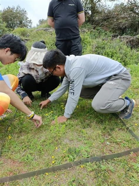 昆明市林业和草原有害生物防治检疫中心稳步推进草原有害生物普查工作 关注森林