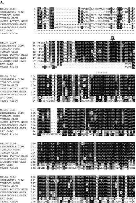 Comparison Of Deduced Amino Acid Sequences From Melon Cmgalldh With