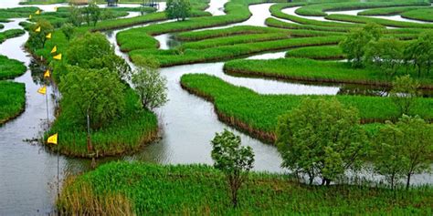 大纵湖门票大纵湖旅游攻略盐城大纵湖攻略地址图片门票价格【同程攻略】