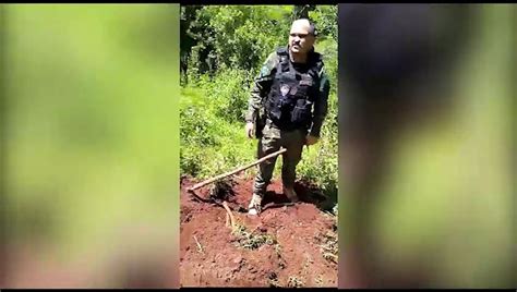 Homem Que Matou E Enterrou Tr S Cachorros Em Rio Do Salto Detido Pela