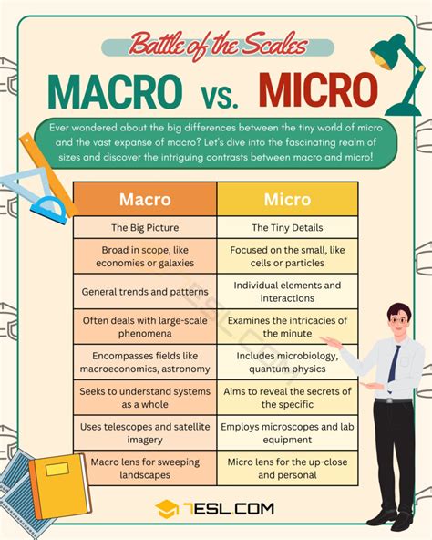 Macro Vs Micro Understanding The Differences In Scale Esl