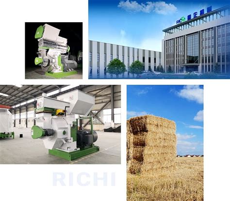 Richi Customizable Straw Pellet Machine For Sale